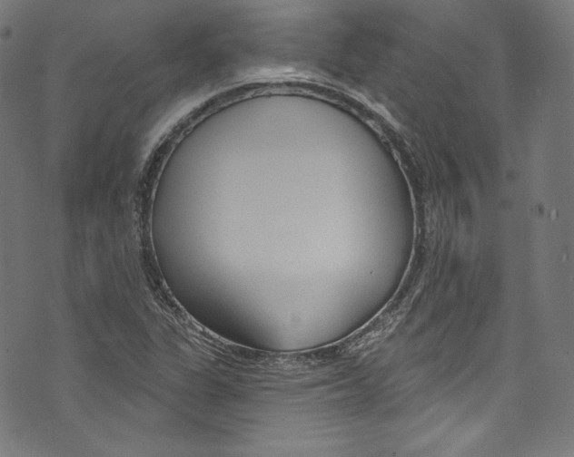 X0000072991311200608211506