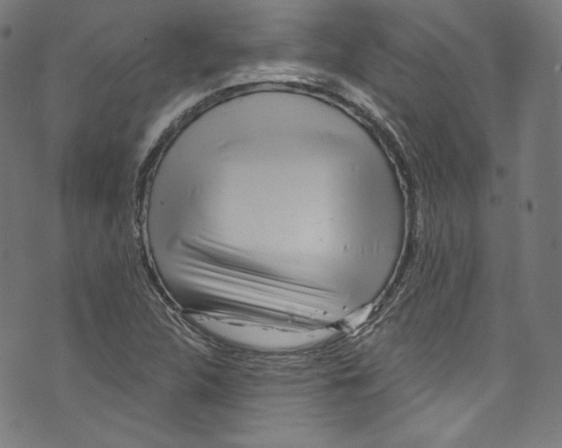 X0000072991312200608211506