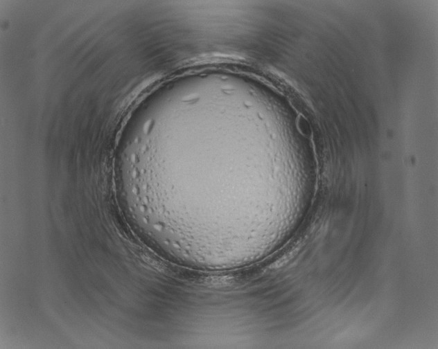 X0000072991313200608211506