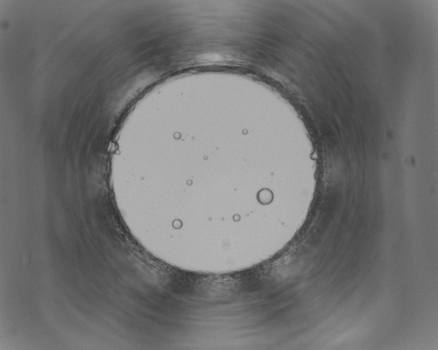 X0000072991314200608211506