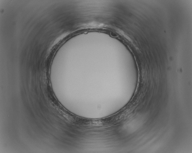 X0000072991315200608211506