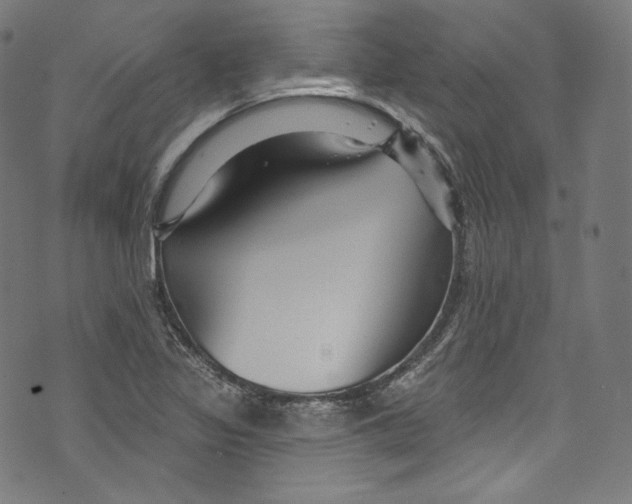 X0000072991317200608211506