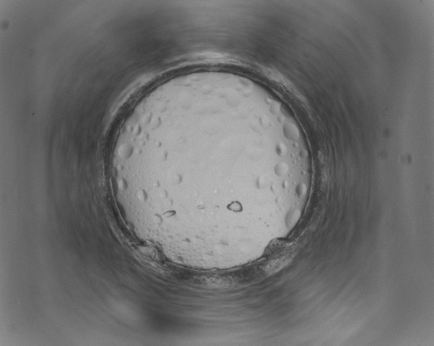 X0000072991318200608211506