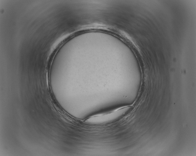 X0000072991320200608211506