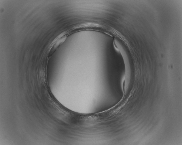 X0000072991321200608211506