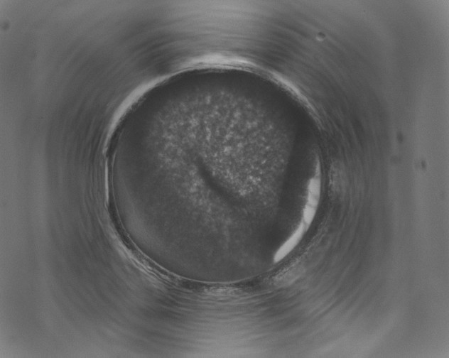 X0000072991323200608211506