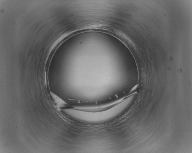 X0000072991324200608211506