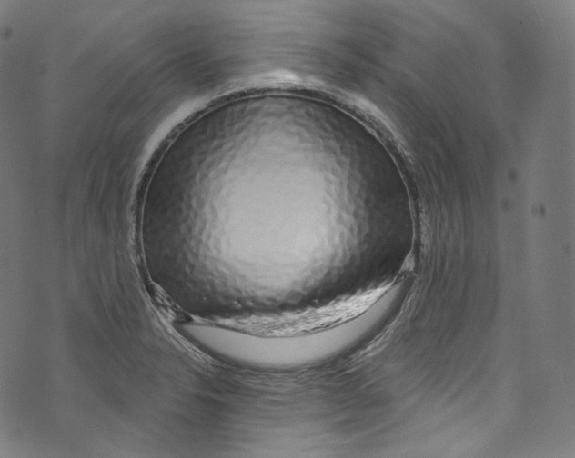 X0000072991326200608211506