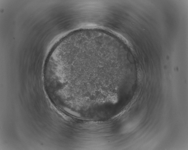 X0000072991327200608211506