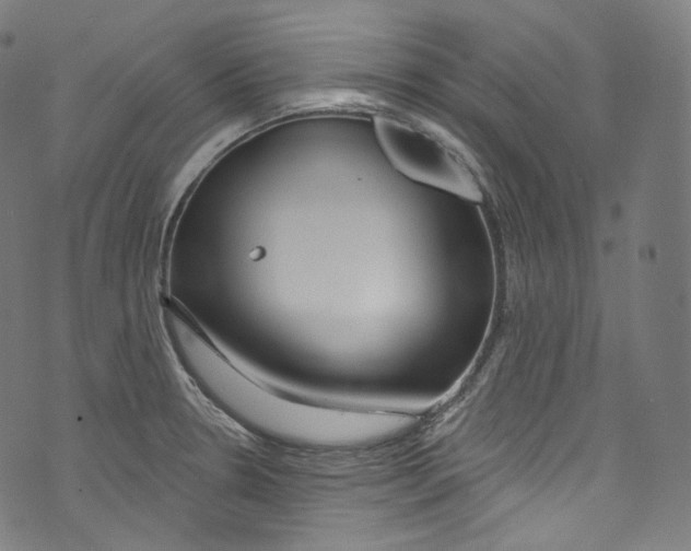 X0000072991330200608211506