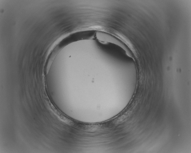 X0000072991332200608211506