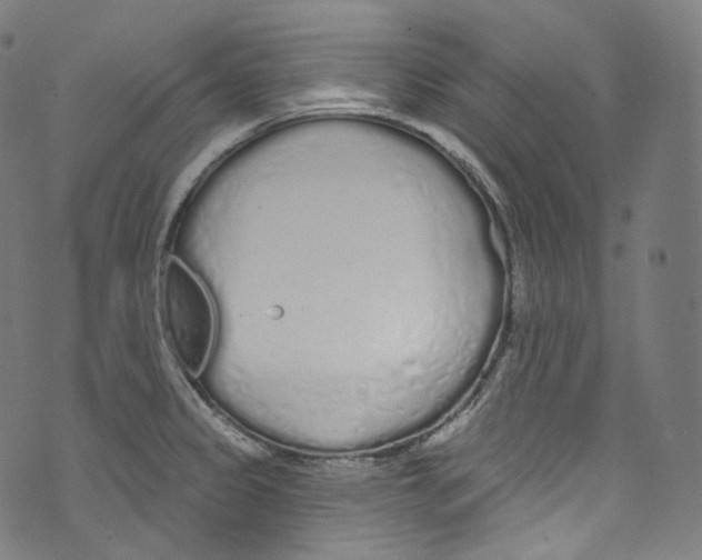 X0000072991333200608211506