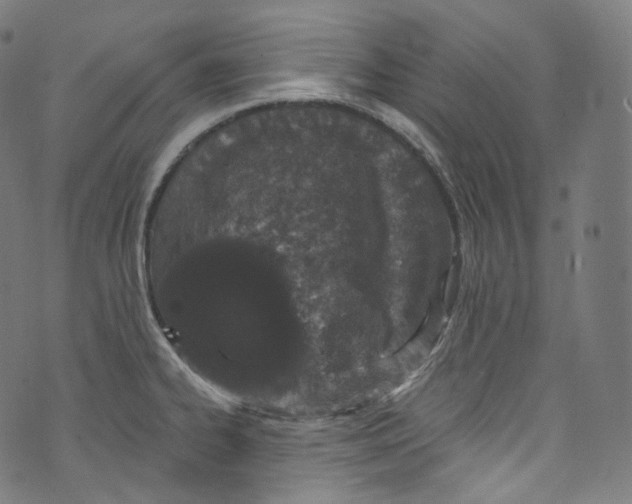 X0000072991334200608211506