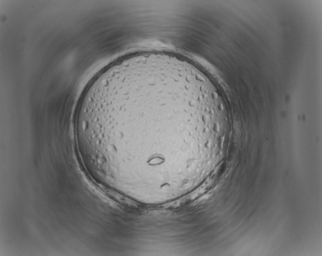 X0000072991335200608211506