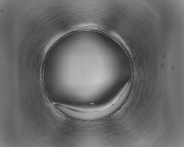 X0000072991336200608211506