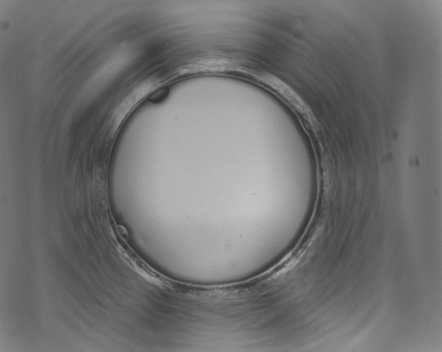 X0000072991337200608211506