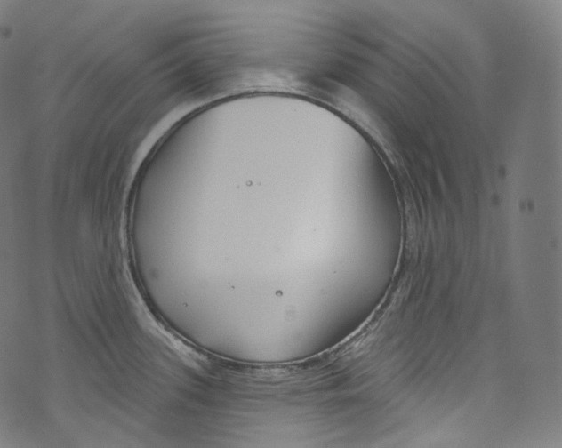 X0000072991339200608211506