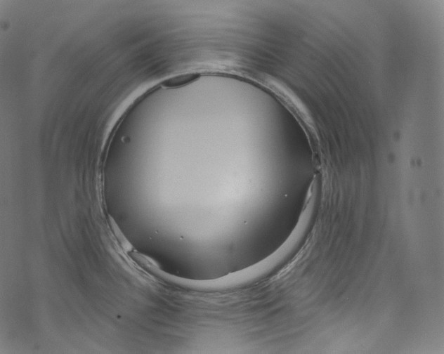 X0000072991340200608211506