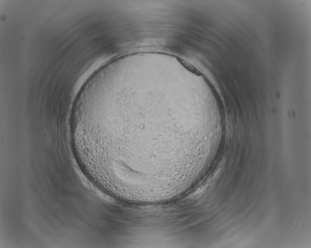 X0000072991341200608211506