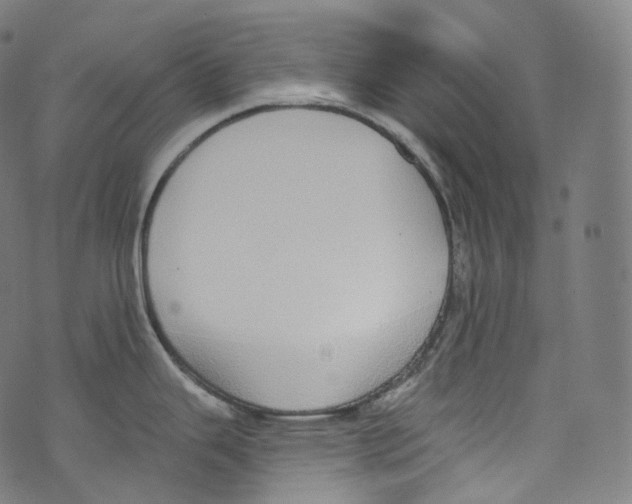 X0000072991343200608211506