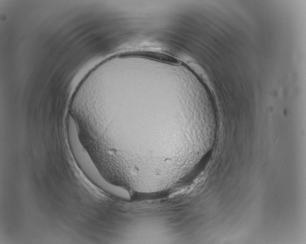 X0000072991344200608211506