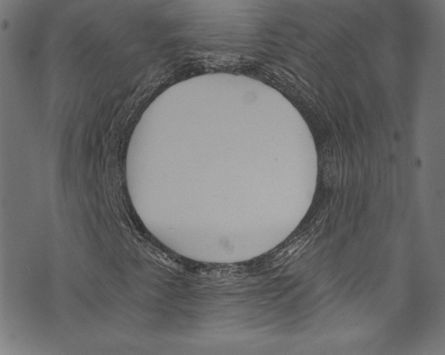 X0000072991345200608211505