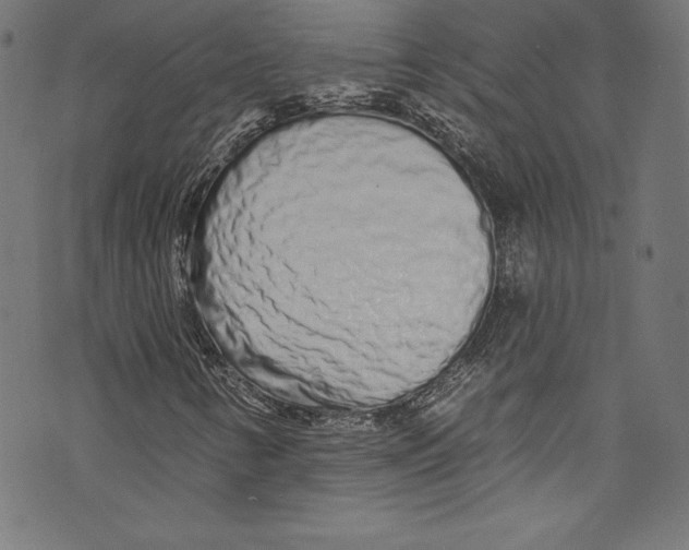 X0000072991346200608211505