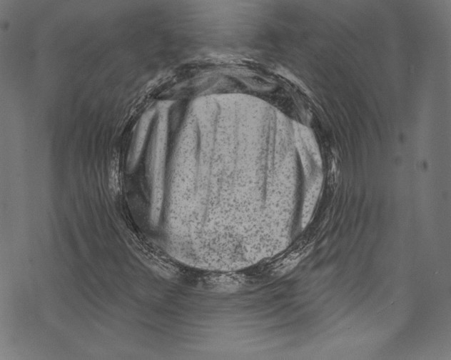 X0000072991348200608211505