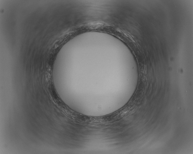 X0000072991349200608211505