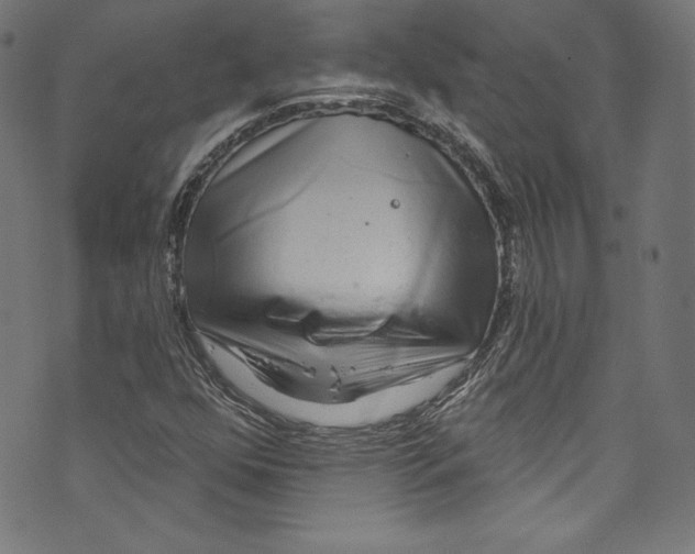 X0000072991352200608211505