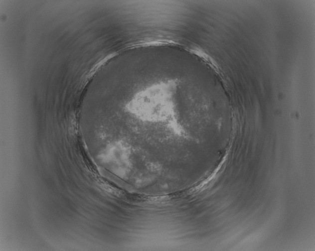 X0000072991353200608211505