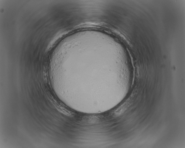 X0000072991355200608211505