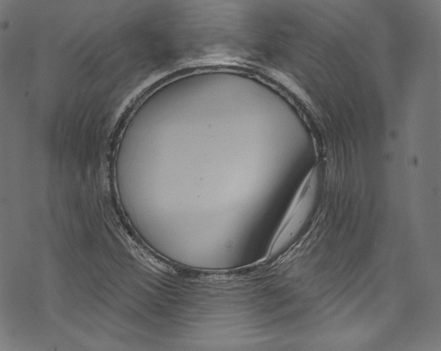 X0000072991356200608211505