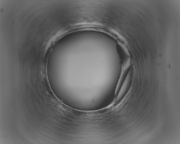 X0000072991357200608211505