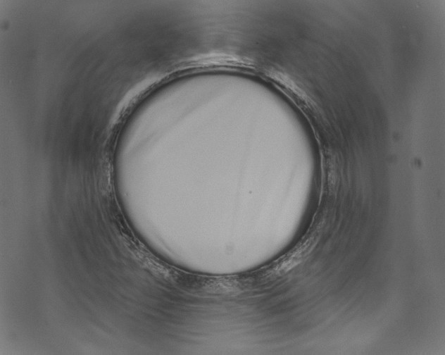 X0000072991358200608211505