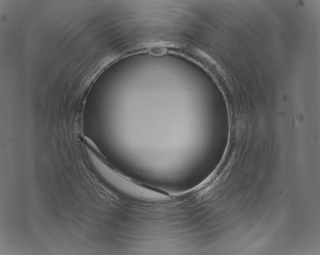 X0000072991361200608211505