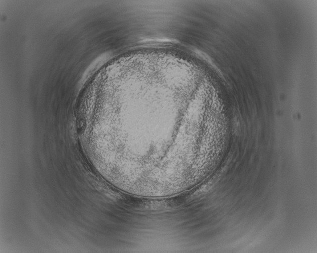 X0000072991362200608211505