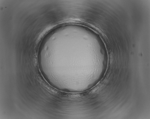 X0000072991363200608211505