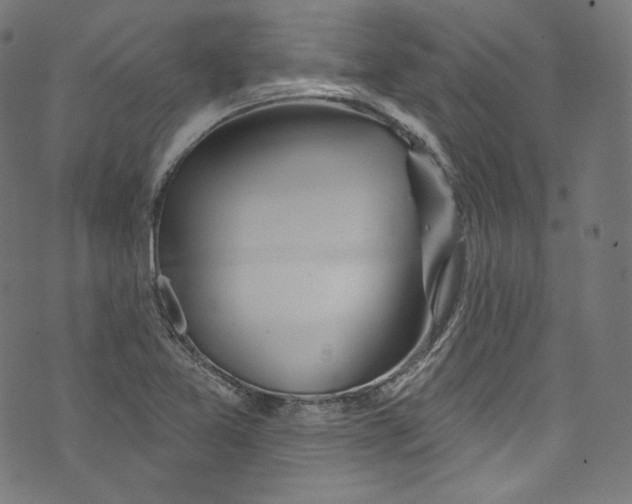 X0000072991365200608211505