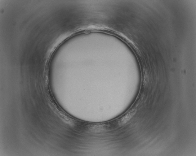 X0000072991367200608211505