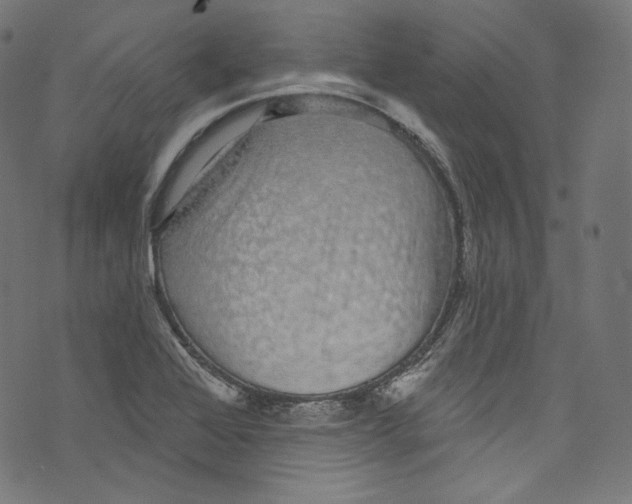 X0000072991368200608211505