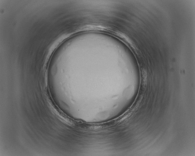 X0000072991371200608211505