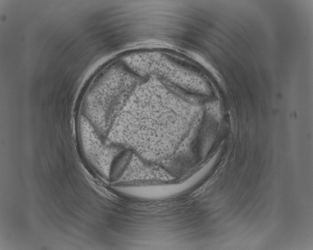 X0000072991372200608211505