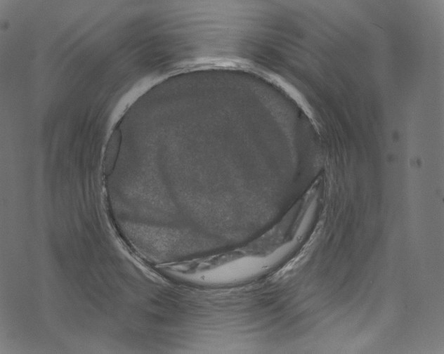 X0000072991373200608211505