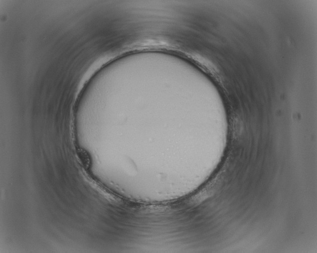 X0000072991374200608211505