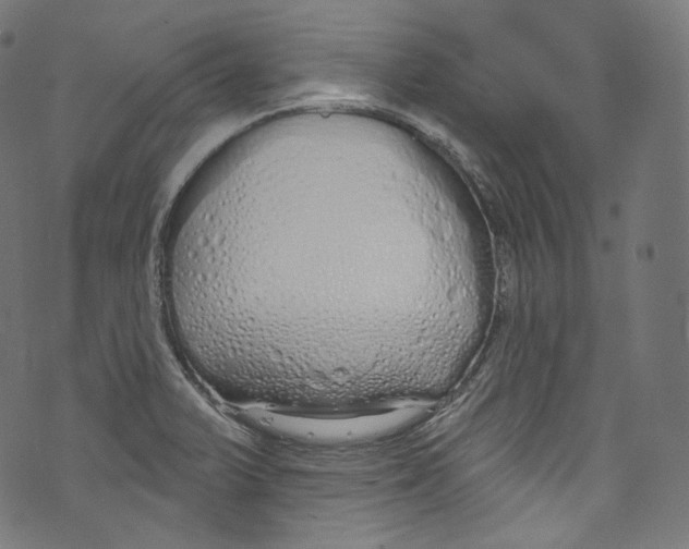 X0000072991375200608211505