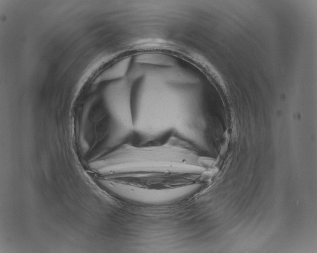 X0000072991376200608211505