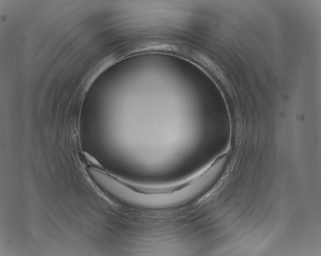 X0000072991377200608211505