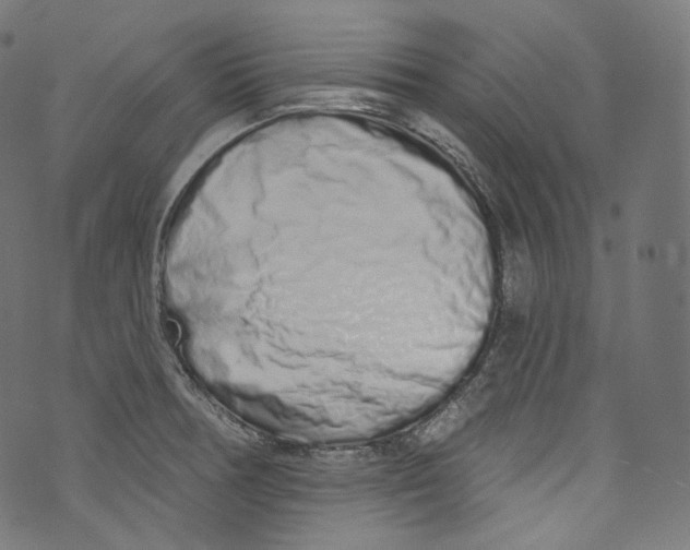 X0000072991378200608211505