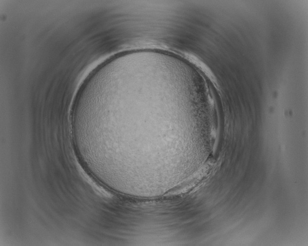 X0000072991380200608211505